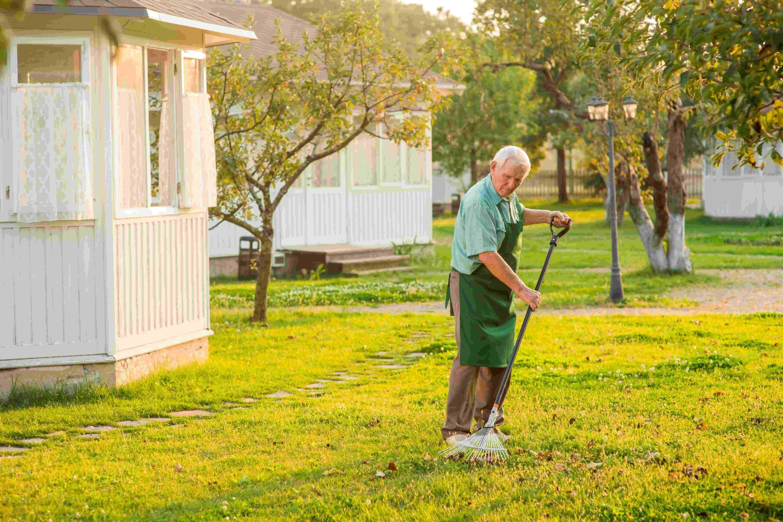 Residential Lawn Care Davenport Florida