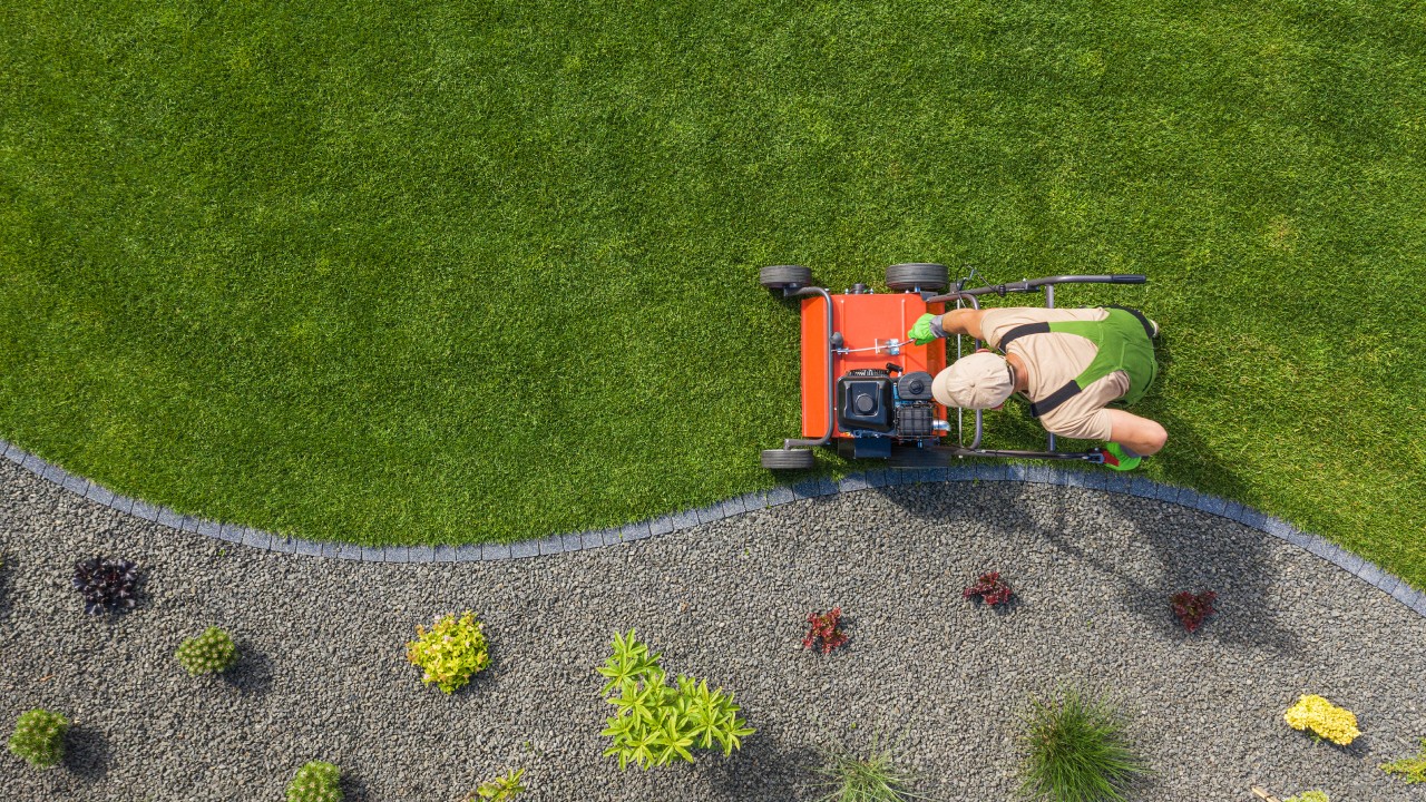 Best Commercial Lawn Care Tips