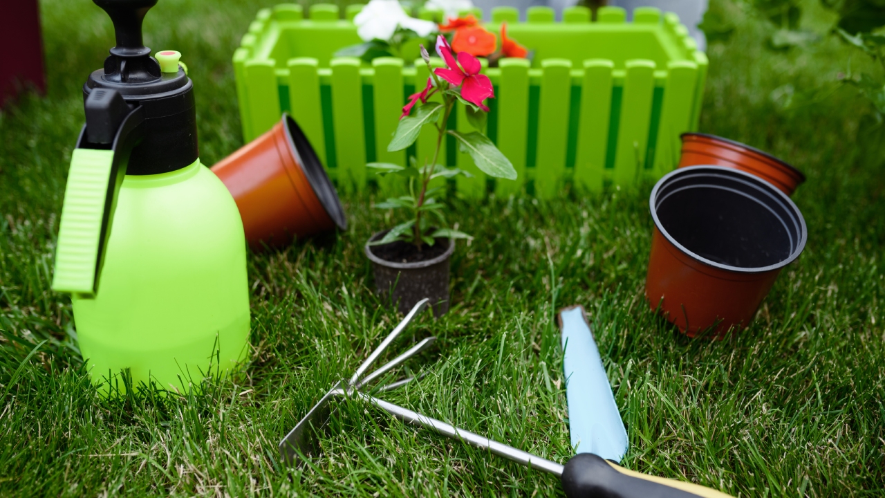 Choosing The Right Lawn Maintenance Program