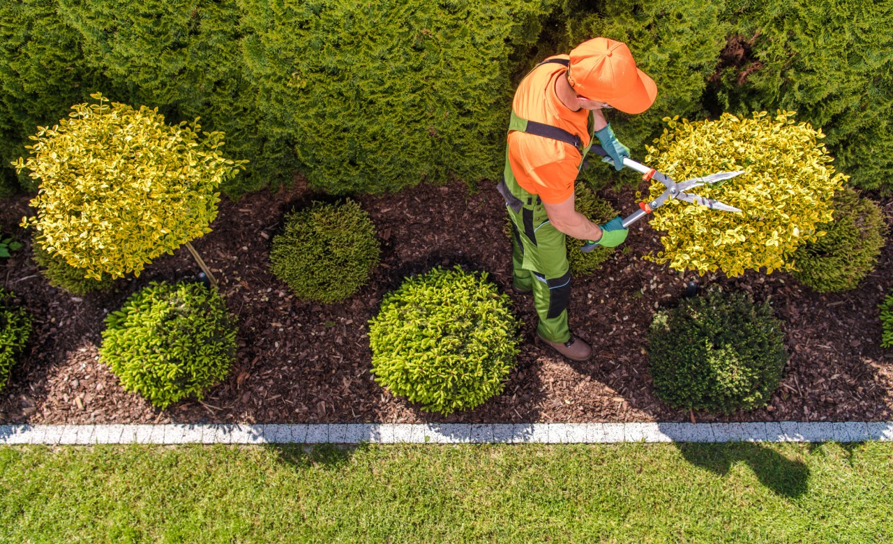 Commercial Landscape And Maintenance Services