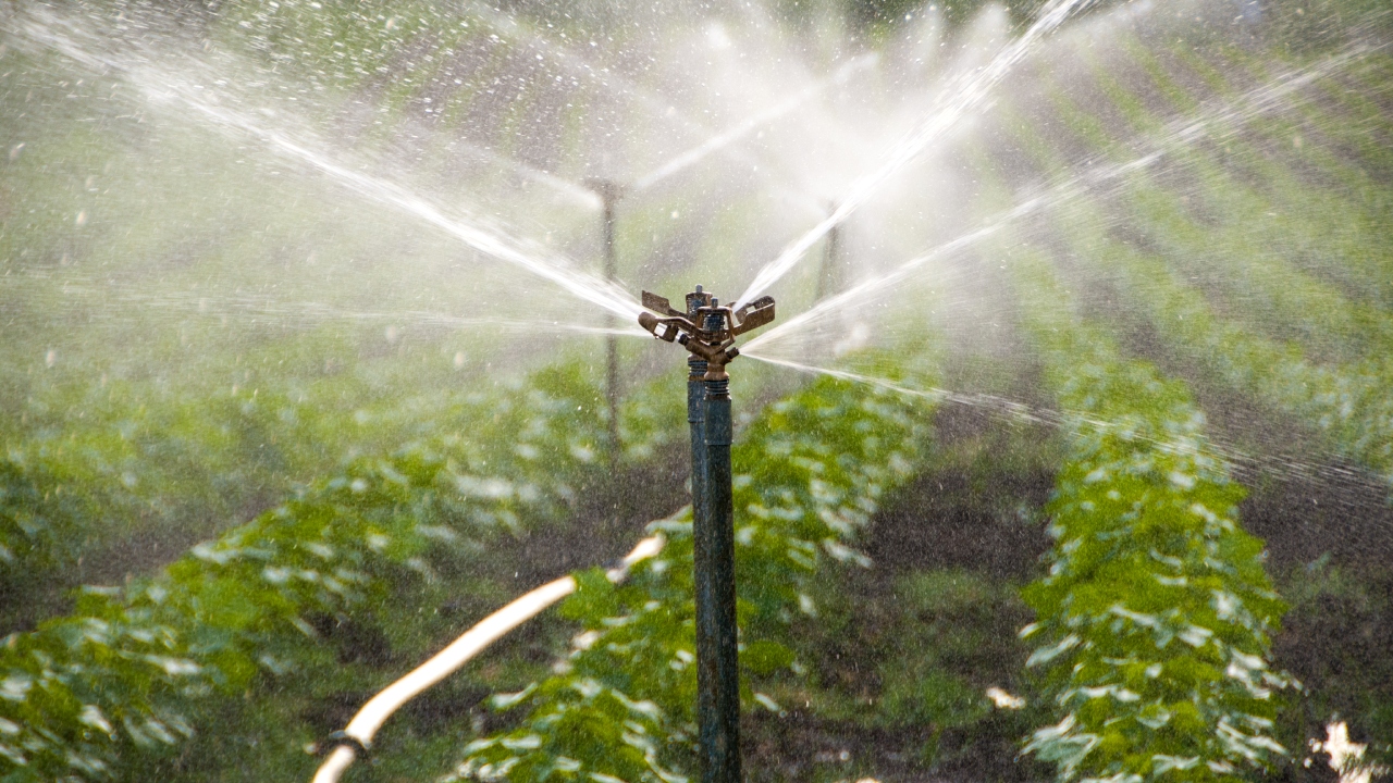 Common Irrigation Problems And Solutions