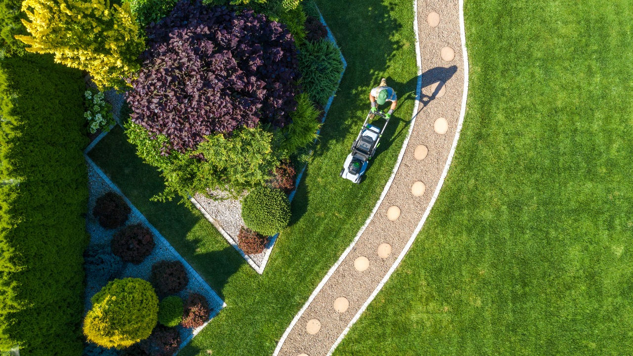 Enhancing Curb Appeal With Commercial Landscaping