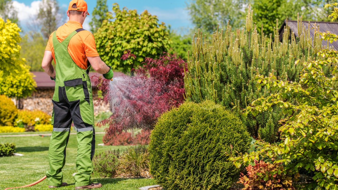 Importance Of Regular Pressure Washing