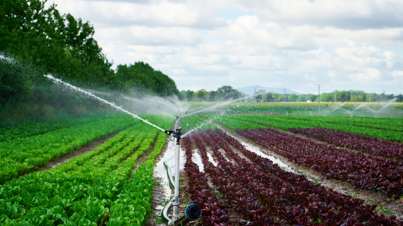 Irrigation System Upgrades For Efficiency