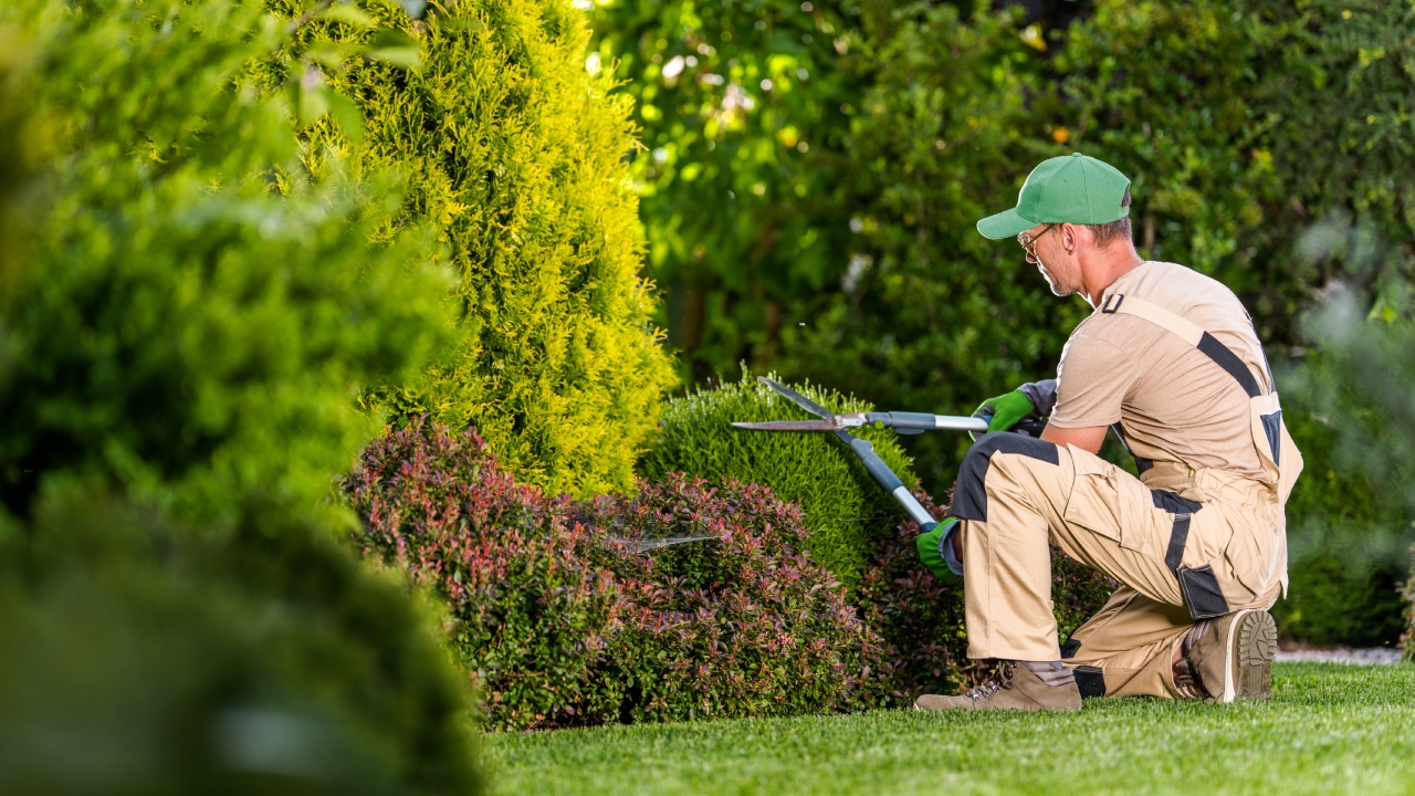 Seasonal Lawn Care Tips For Businesses